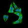 DCX Primary Antibody MP30381 [M2G5]