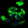ALCAM Primary Antibody  MP30512 [M8E12C7]