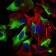 CD22 Primary Antibody MP30550 [M2H1C4]