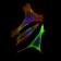 Ring1 Primary Antibody MP30559 [M8E8A2]