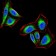 PTPN1 Primary Antibody MP30702 [M4F8F11]