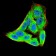 EIF5A Primary Antibody MP30713 [M4E10G8]
