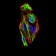 SNAI2 Primary Antibody MP30730 [M4B6D5]