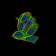 PDGFRA Primary Antibody MP30745 [M8E12D1]