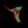 CSF3 Primary Antibody MP30785 [M7E4F7]