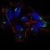 HDAC4 Primary Antibody MP30872 [M7E2E6]