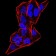 DDX20 Primary Antibody MP30898 [M7B2B1]