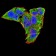WNT3A Primary Antibody MP30902 [M1E6G4]