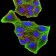 PRDM5 Primary Antibody MP30908 [M7D4C12]