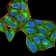 PTPN6 Primary Antibody MP30938 [M2E9E4]
