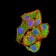 MAP2K3 Primary Antibody MP30978 [M2E12D11]