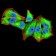 IL1RAPL1 Primary Antibody MP30981 [M3E3D12]