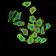 KDM1A Primary Antibody MP31022 [M3F9D2]