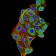 KDM1A Primary Antibody MP31022 [M3F9D2]