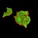 PTPN14 Primary Antibody MP31049 [M2C12E3]