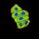 C3C Primary Antibody MP31055 [M4C6A8]