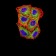 VIMP Primary Antibody MP31061 [M5G4A10]