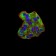 SYK Primary Antibody MP31102 [M2G11E6]