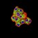 IDH1 Primary Antibody MP31107 [M7G8A1]
