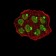 UHRF1 Primary Antibody MP31125 [M1A1B1]