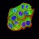 BCL2L10 Primary Antibody MP31213 [M8A2F9]
