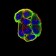CHRNA3 Primary Antibody MP31232 [M6D3A10]