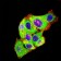 GRM3 Primary Antibody MP31256 [M7A5A6]
