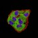 GLRB Primary Antibody MP31289 [M3B8A8]