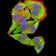 CHRNB4 Primary Antibody MP31312  [M1H11F2]