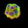 P2RY14 Primary Antibody MP31333 [M5A3F1]