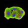 B7H3 Primary Antibody MP31371 [M8C1C2]