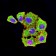 ATG4A Primary Antibody MP31497  [M8C9C2]