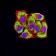 LRP3  Primary Antibody MP31501 [M7B3A5E9]