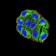 CD156 Primary Antibody  MP31602  [M2C1F3]