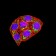KMT5A Primary Antibody MP31616  [M7H1G10]