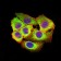 CD369 Primary Antibody MP31623  [M4G2G6]