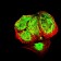EHMT2 Primary Antibody MP31627  [M2D12A11]