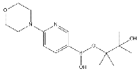 MC72636 6-(4-Morpholinyl)Pyridine-3-Boronic Acid Pinacol Ester 485799-04-0 6-(4-吗啉基)吡啶-3-硼酸频哪醇酯