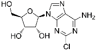 MC42826  2-氯腺嘌呤核苷  [146-77-0]