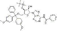 MC76665 N6-benzoyl-3'-O-t-butyldiMethylsilyl-5'-O-(4,4'-diMethoxytrityl)-adenosine 81256-88-4 4'-DMTBS-5'-O-(4,4'-二甲氧基三苯甲基)- N6-苯甲酰基腺苷