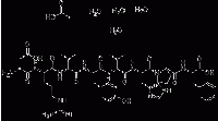 MCY39180  (VAL5)-ANGIOTENSIN II  [5649-07-0]