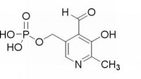 MC13028  磷酸吡哆醛一水物  [41468-25-1]