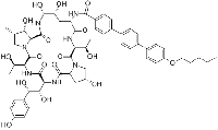 MC80445 Anidulafungin 166663-25-8 阿尼芬净