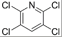 MC63636 2,3,5,6-Tetrachloropyridine 2402-79-1 2,3,5,6-四氯吡啶