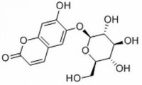 MC31343  秦皮甲素  [531-75-9]