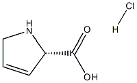 MC96288 3,4-Dehydro-L-proline hydrochloride 201469-31-0 3,4-脱氢-L-脯氨酸盐酸盐