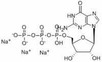 MC18079  5-鸟苷三磷酸三钠盐  [36051-31-7]