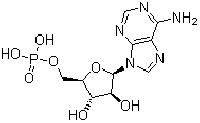 MC26174  单磷酸阿糖腺苷  [29984-33-6]