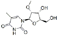 MC73575 5,2'-O-Dimethyluridine 55486-09-4 2'-O-甲基-5-甲基尿苷