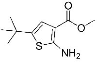 MC63333 methyl 2-amino-5-tert-butylthiophene-3-carboxylate 216574-71-9 2-氨基-5-叔丁基噻吩-3-甲酸甲酯